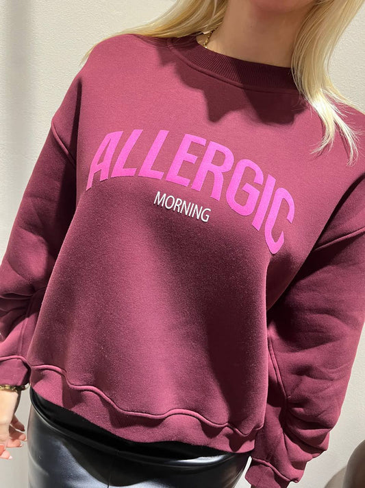 Felpa girocollo over con stampa Danira