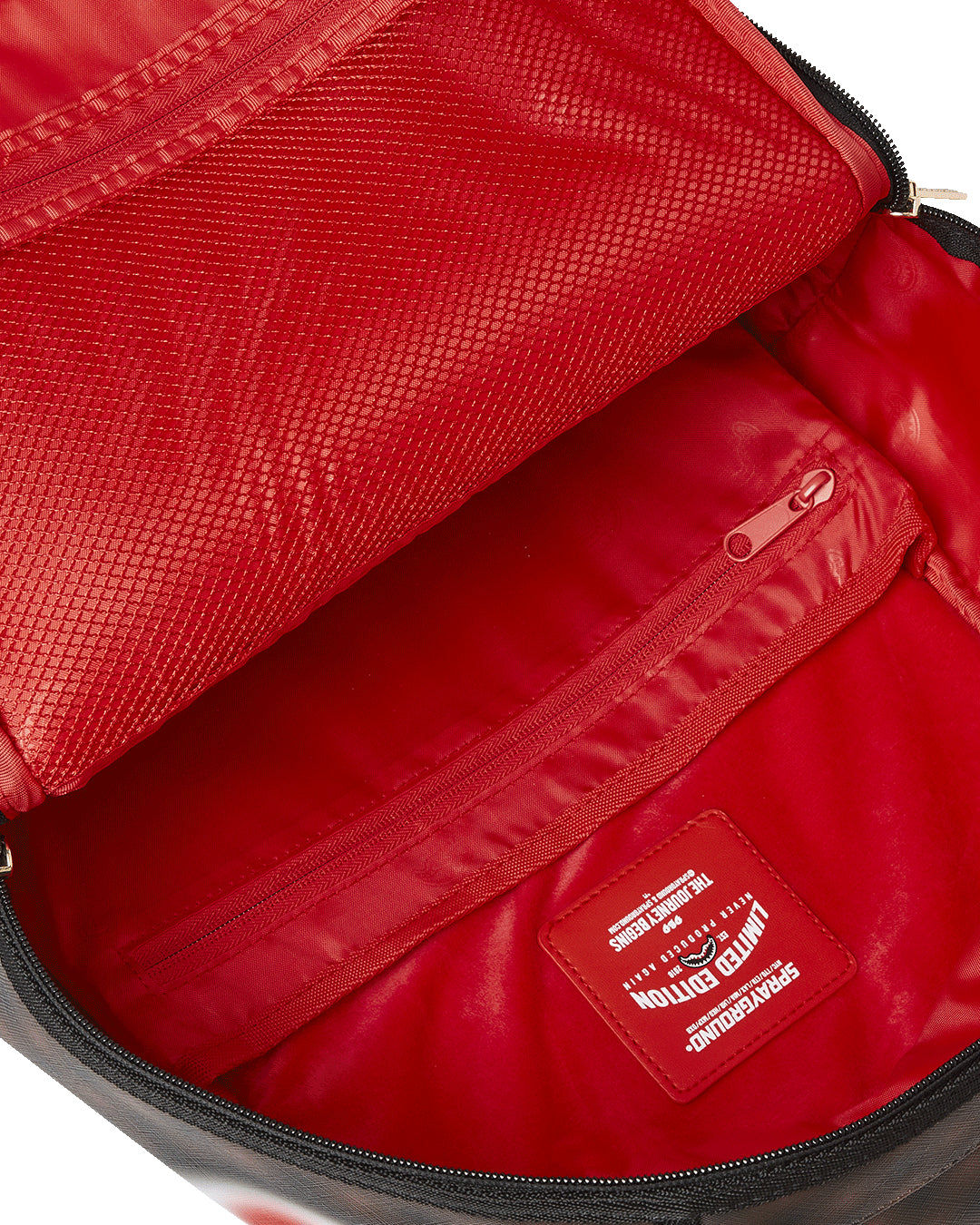 Zaino sharks in Paris blur