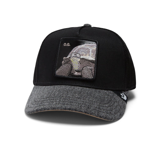 THE OG TORTOISE