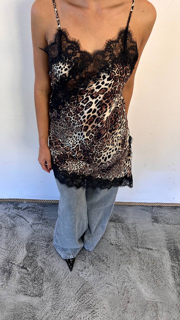 Canotta leopardata Brinella