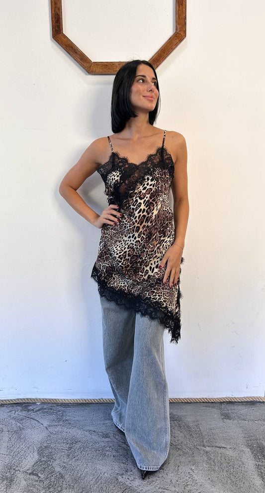 Canotta leopardata Brinella