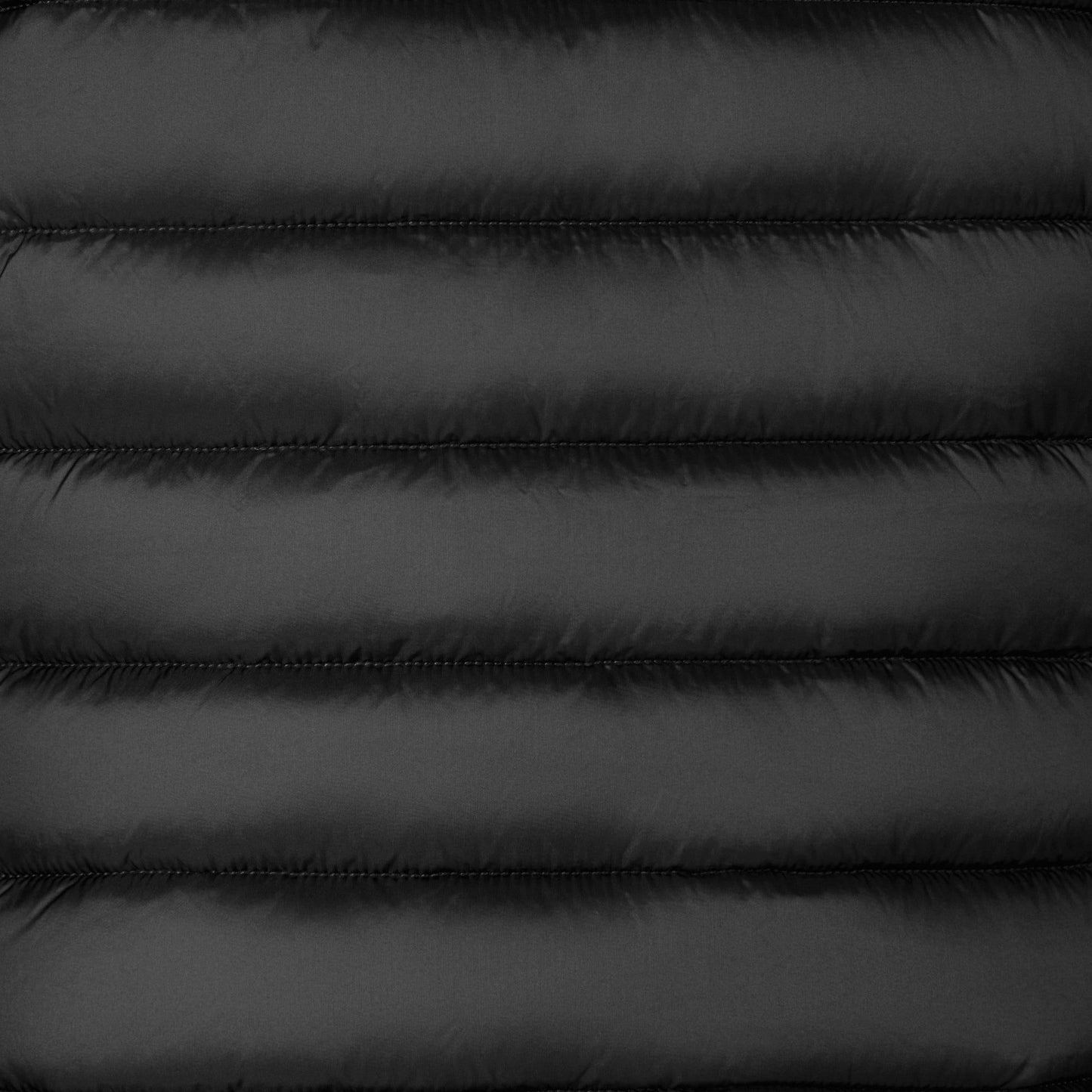 Piumino donna animal-free Alexis