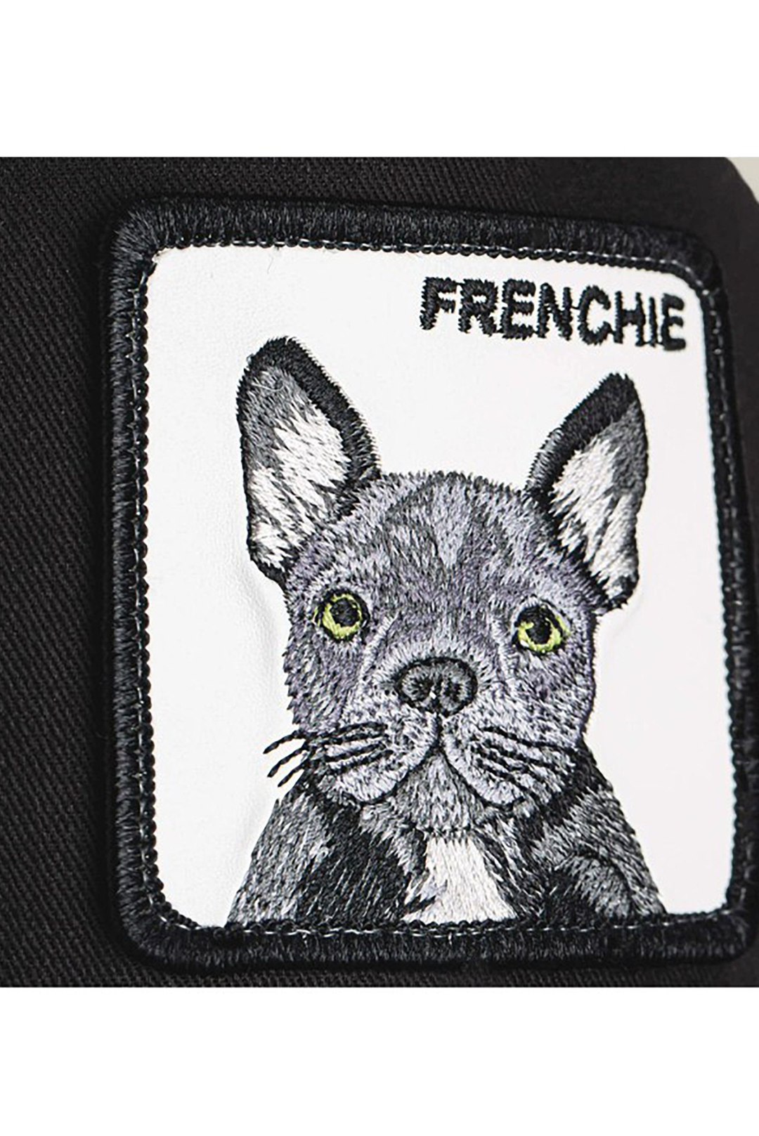THE FRENCHIE DOG