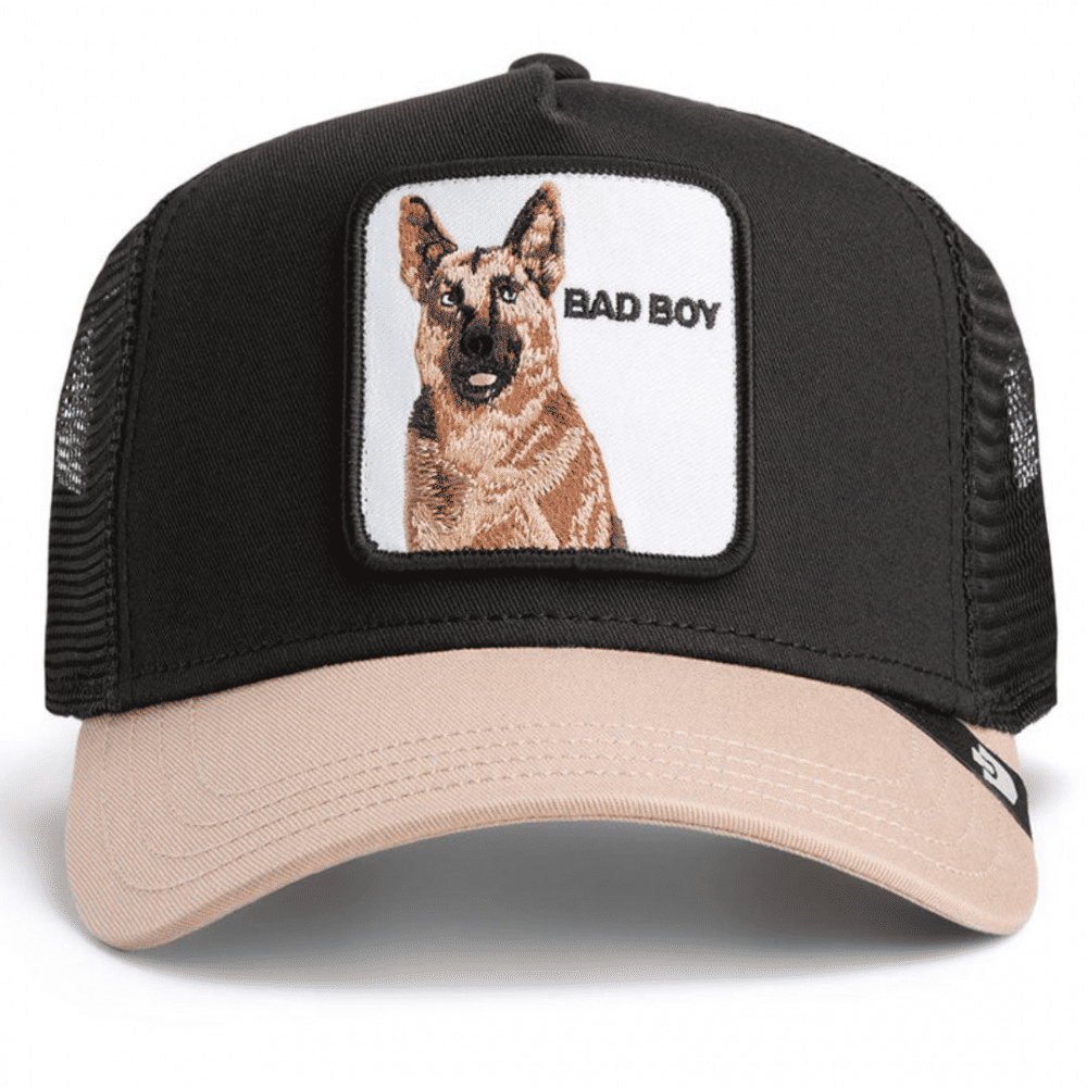 THE BAD BOY