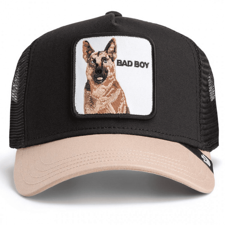 THE BAD BOY