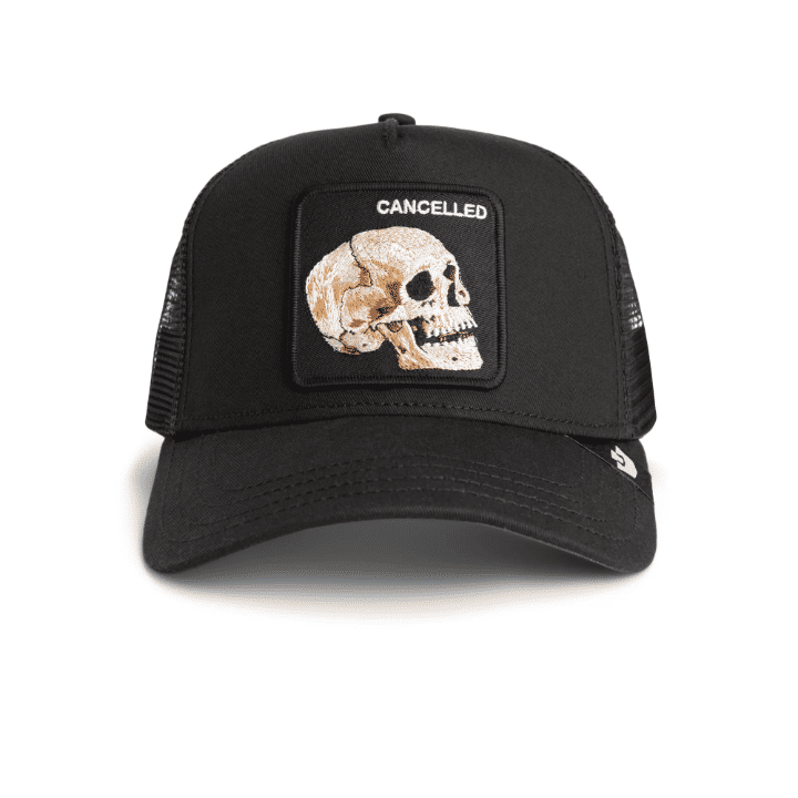 THE CANCELLED SKULL